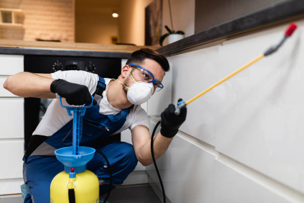 Best Mosquito Control Services  in Moulton, AL