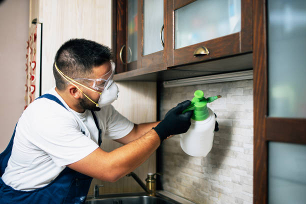 Best Pest Control for Businesses  in Moulton, AL