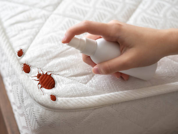 Best Pest Prevention Services  in Moulton, AL