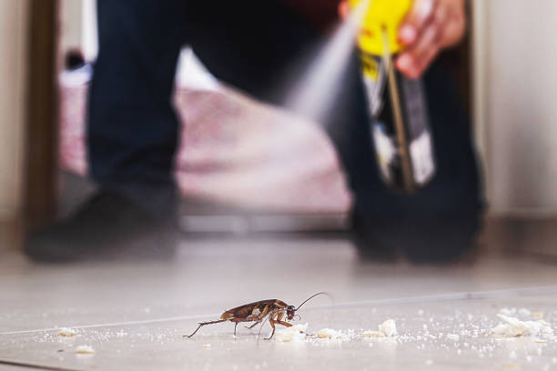 Best Pest Inspection Near Me  in Moulton, AL