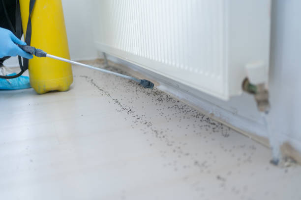 Pest Prevention Services in Moulton, AL
