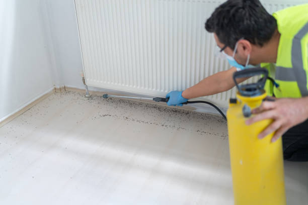 Best Pest Prevention Services  in Moulton, AL
