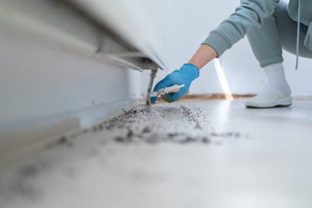 Professional Pest Control in Moulton, AL