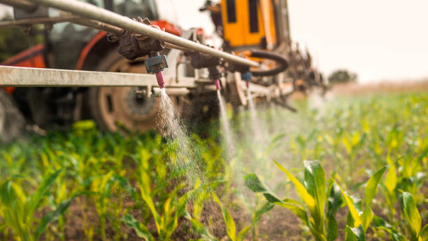 Best Pest Removal Services  in Moulton, AL